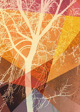 P22C1 TREES AND TRIANGLES