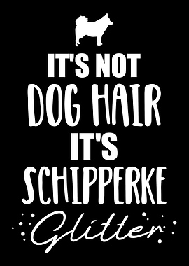 Schipperke