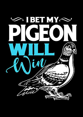 Pigeon Bird Racing