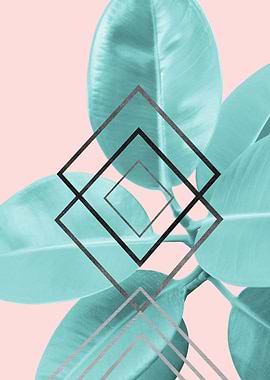 Ficus Elastica Geo Glam 1