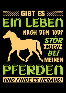 Horse Lover Dressage Pony