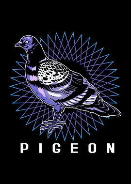 Pigeon Abstract Bird