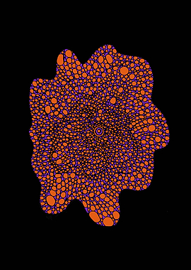 Purple and Orange Flower