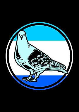 Pigeon Bird Illustration