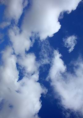 Summer sky with clouds