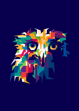 Owls Illustrations