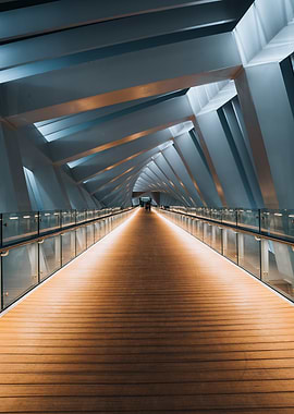 Dubai Futuristic Bridge