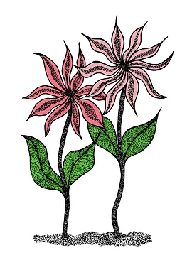 Flower Siblings