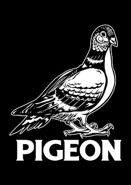 Pigeon Bird