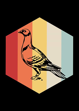 Retro Pigeon