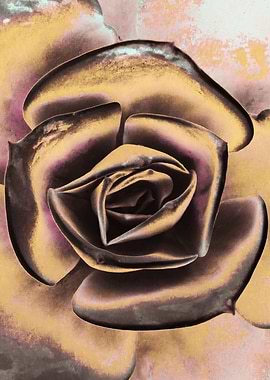 POPART OF SUCCULENTS I1