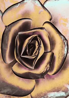 POPART OF SUCCULENTS I2