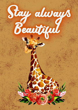 Giraffe Giraffes Africa