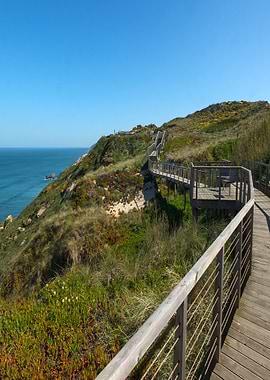 Dunes in Foz de Arelho 01