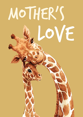 Giraffe Giraffes Africa