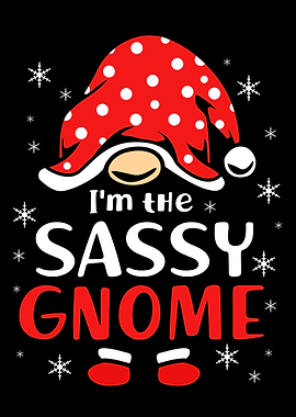Im The Sassy Gnome