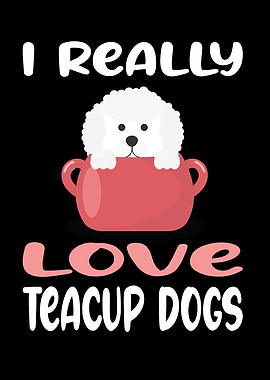 I really love Teacup Dogs
