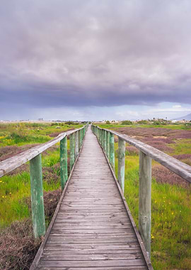 Wooden boardwalk