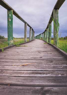 Wooden boardwalk