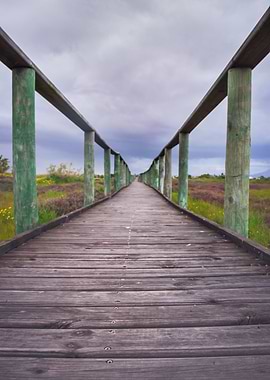 Wooden boardwalk