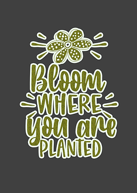 Bloom Where You Are