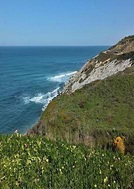 Dunes in Foz de Arelho 03