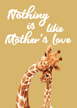 Giraffe Giraffes Africa