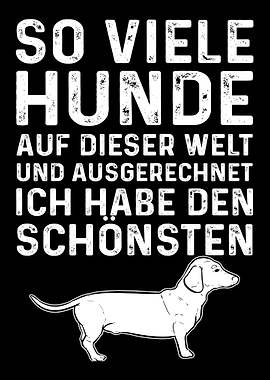 So Viele Hunde Dackel Dach