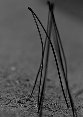 Pin needles