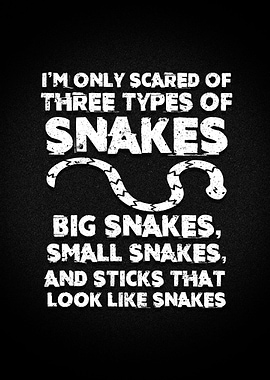 Ophiology Pet Snakes Stick