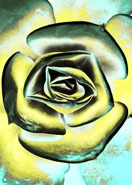 POPART OF SUCCULENTS II1