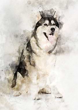 Husky Dog Watercolor