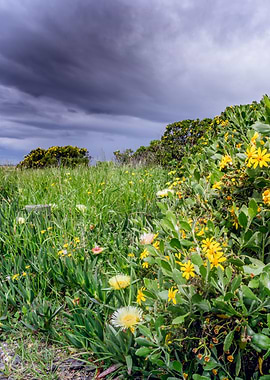 Overcast Table Mountain