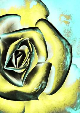 POPART OF SUCCULENTS II1