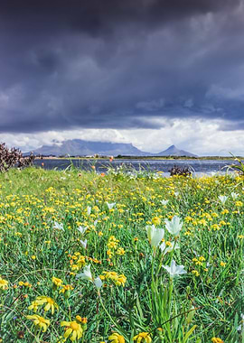 Overcast Table Mountain
