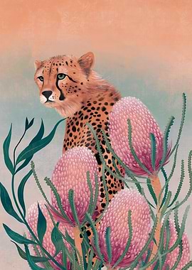 Cheetah in Banksias