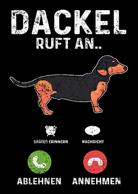 Dackel Dachshund Ruft An
