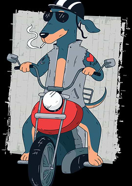 Cool Dachshund Dog on Moto
