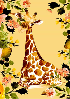 Giraffe Giraffes Africa