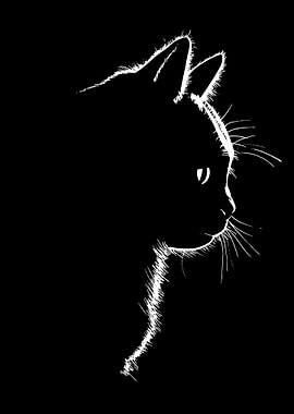 Kitty profil in the dark