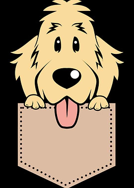 Goldendoodle Pocket Dog