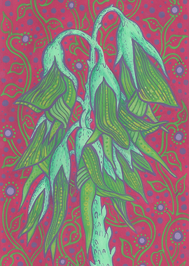 Australian Bird Flower