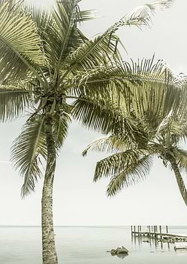 FLORIDA Heavenly Place