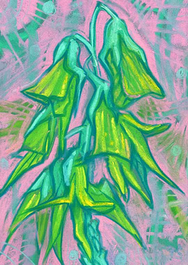 Australian Birdflower