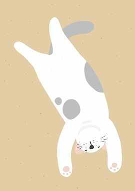 Fat cat sleeping on sand