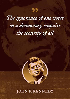 The ignorance of one voter