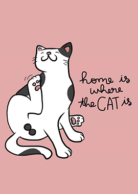 Home is where your cat is