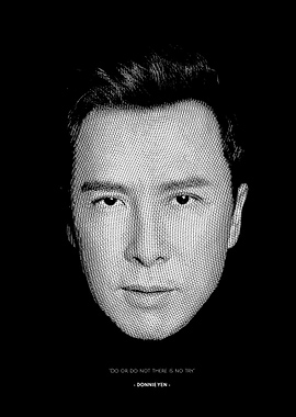 Donnie Yen Ji Hong Kong IP