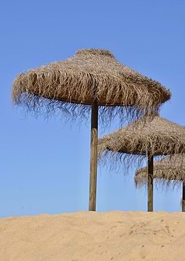 Tropical beach ambience 02