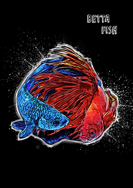 betta fish